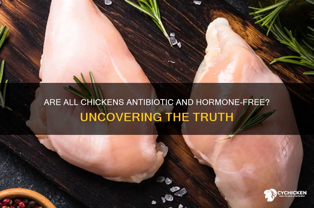 is all chicken antibiotic and hormone free