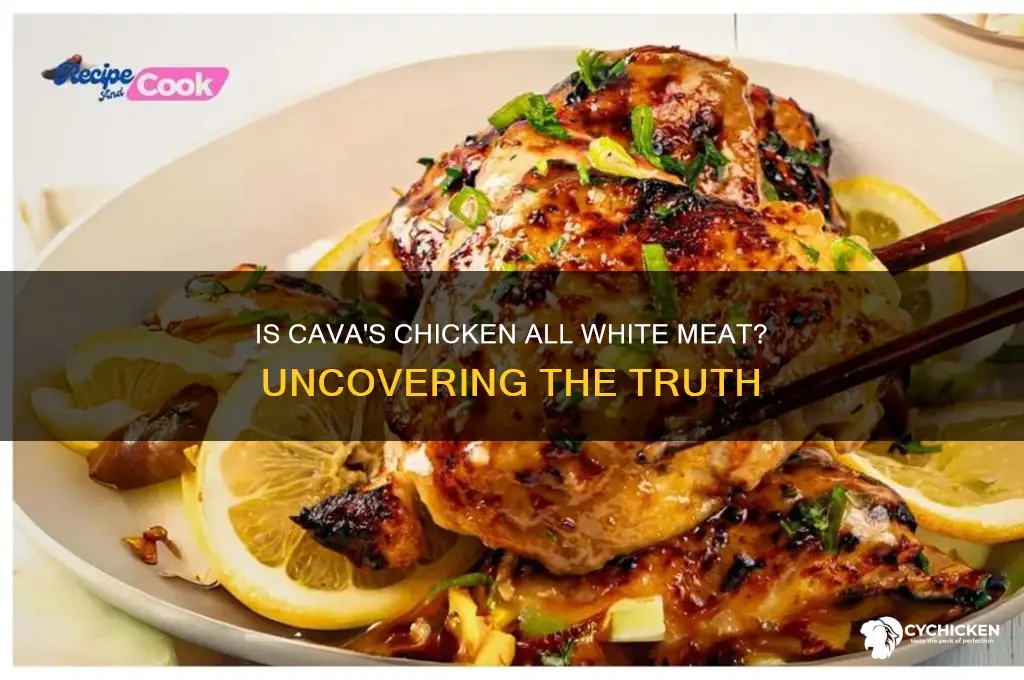 is all chicken at cava all white meat