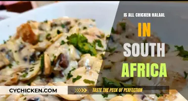 Is All Chicken Halaal in South Africa? Uncovering the Truth