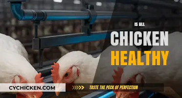 Decoding Poultry Nutrition: Is All Chicken Created Equal?
