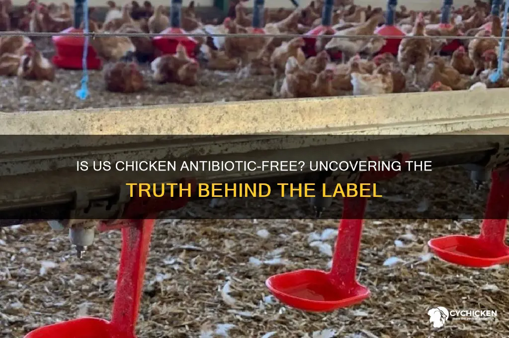is all chicken in the us antibiotic free
