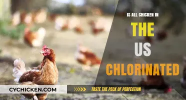 Is US Chicken Chlorinated? Uncovering the Truth About Poultry Processing