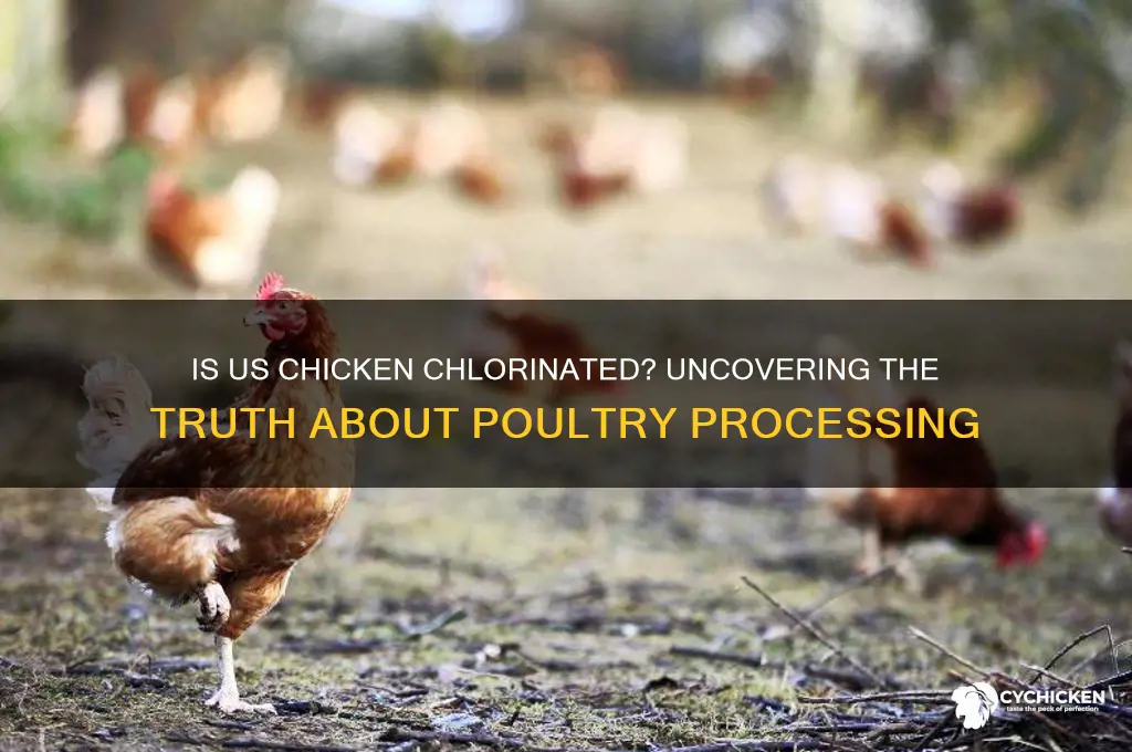 is all chicken in the us chlorinated