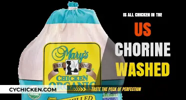 Is US Chicken Chlorine-Washed? Uncovering the Truth Behind the Myth