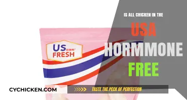 Is US Chicken Hormone-Free? Uncovering the Truth Behind the Label