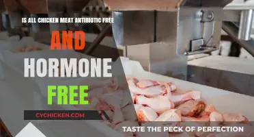 Chicken Meat: Antibiotic and Hormone Free?