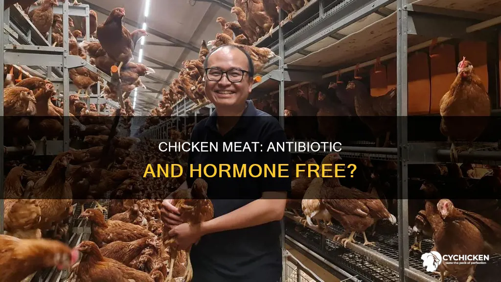 is all chicken meat antibiotic free and hormone free
