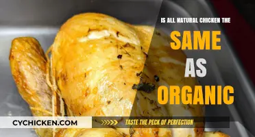 Natural vs. Organic Chicken: Understanding the Key Differences