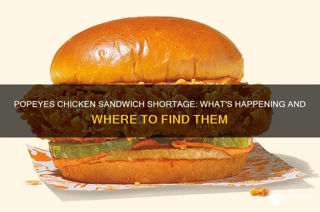 is all popeyes out of chicken sandwiches
