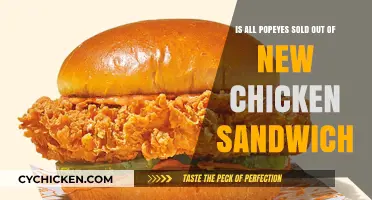 Popeyes Chicken Sandwich Craze: Nationwide Sell-Out or Marketing Hype?