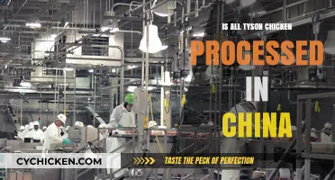 Is Tyson Chicken Processed in China? Uncovering the Truth