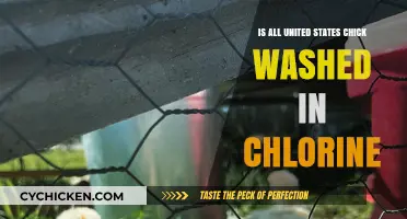 Is U.S. Chicken Chlorine-Washed? Debunking Myths and Facts