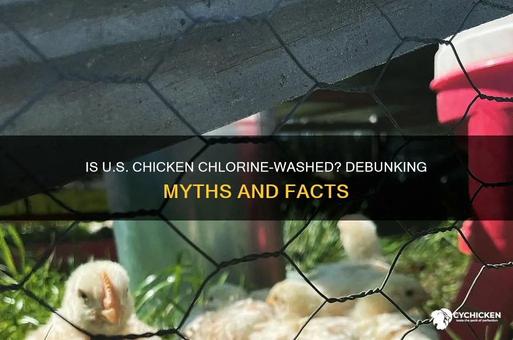 is all united states chick washed in chlorine