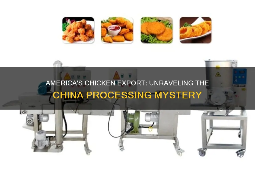 is america shipping chicken to china for processing