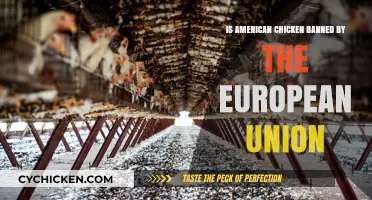Why the EU Bans American Chicken: Understanding the Controversy