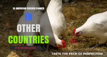 Why Many Countries Ban American Chicken: Global Concerns Explained