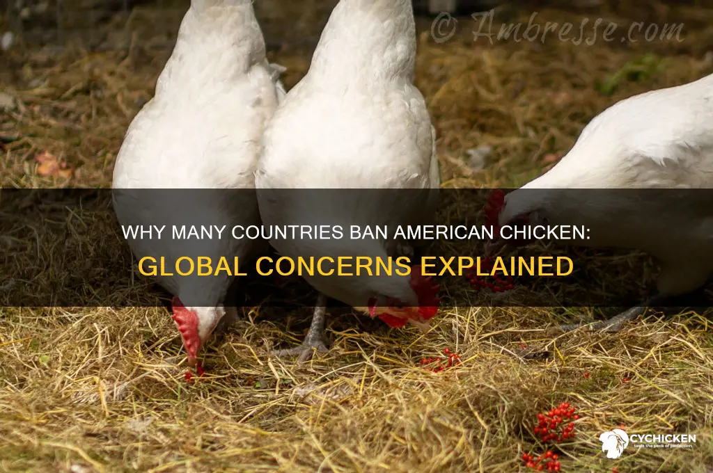 is american chicken banned in other countries