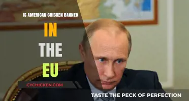 Why American Chicken is Banned in the EU: Key Reasons Explained