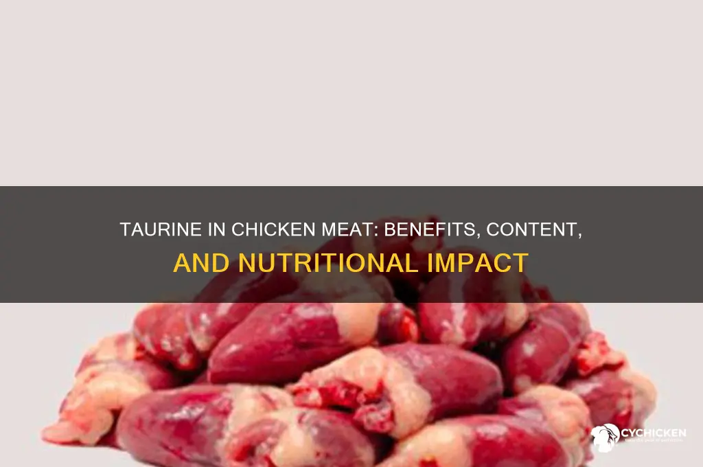 is amino acid taurine in chicken meat