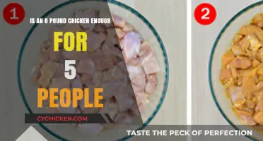 Chicken Feast for Five: How Much is Enough?