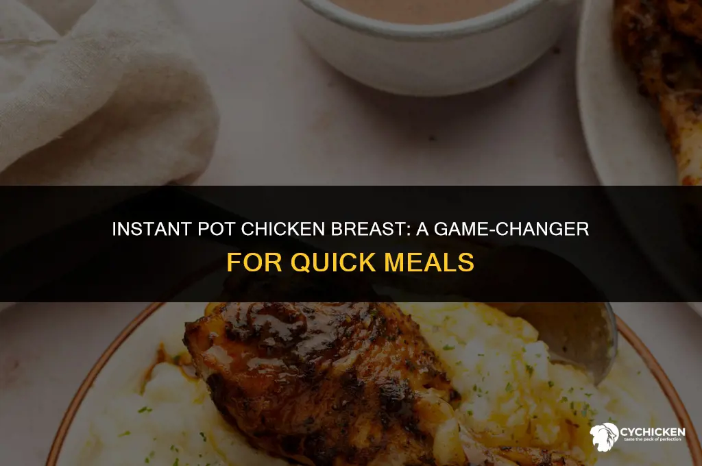 is an instant pot for chicken breast