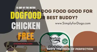 Nutro Dog Food Options: Are There Chicken-Free Recipes Available?