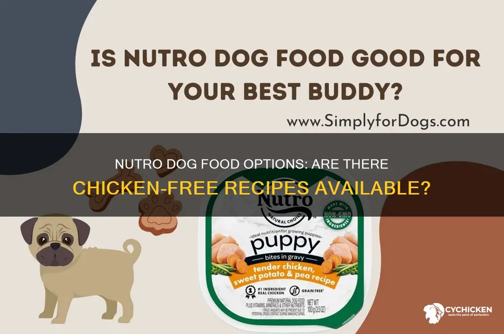 is any of the nutro dogfood chicken free