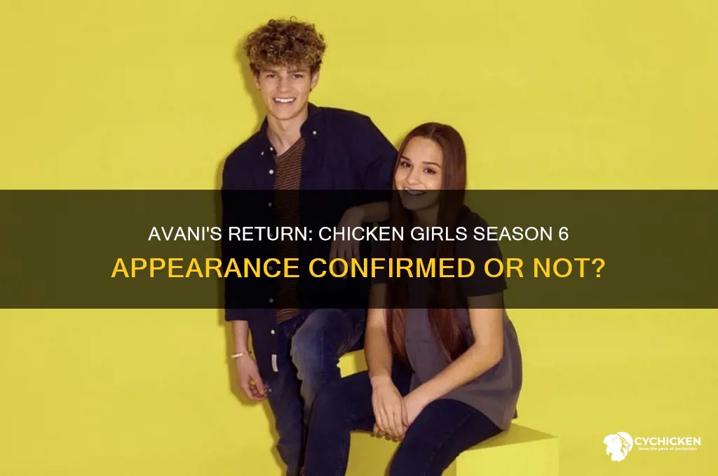 is avani in chicken girls season 6