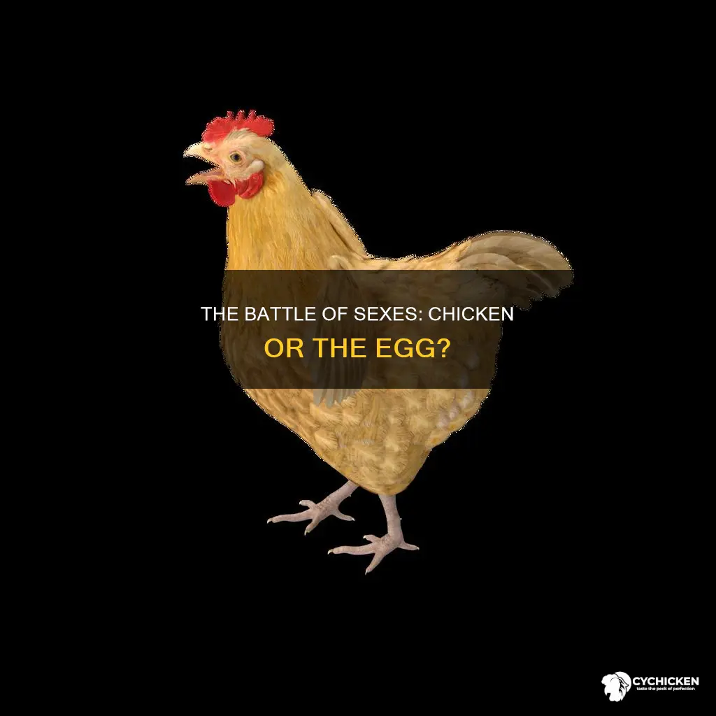 is battle of the sexes and chicken the same