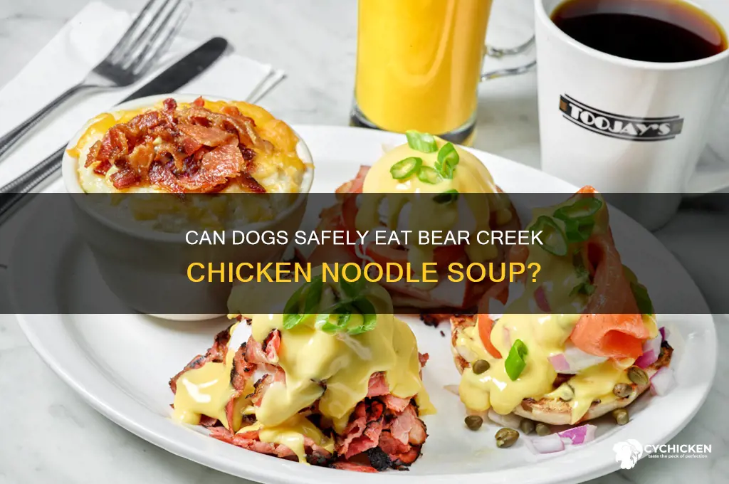 is bear creek chicken noodle okay for dogs