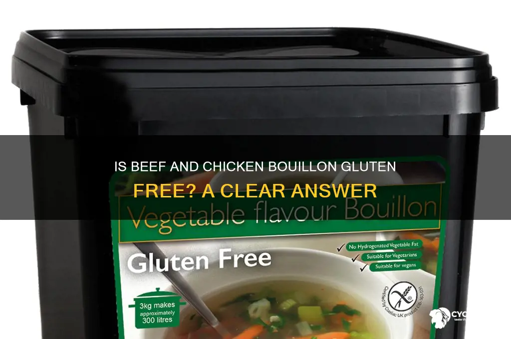 is beef and chicken bouillon gluten free