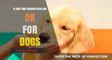 Can Dogs Safely Eat Beef and Chicken Bouillon? Expert Insights