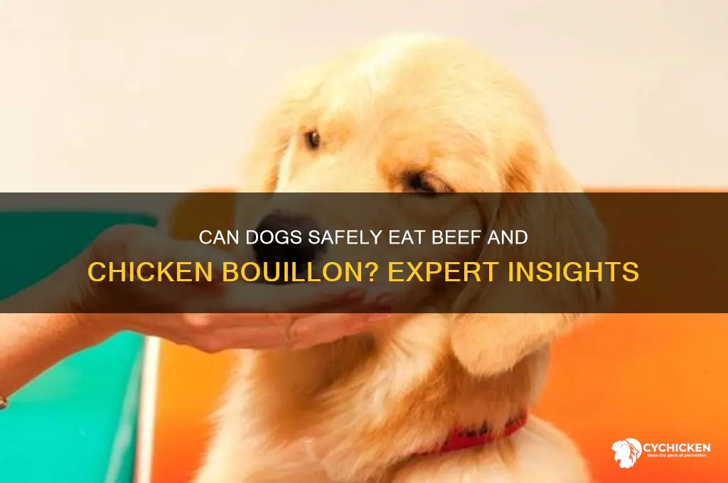 is beef and chicken boullion ok for dogs