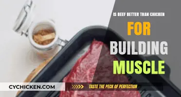 Beef vs. Chicken: Which Protein Builds Muscle Better?
