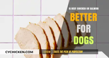 Beef vs. Chicken vs. Salmon: Which Protein is Best for Dogs?