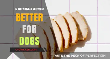 Beef vs. Chicken vs. Turkey: Which Protein is Best for Dogs?