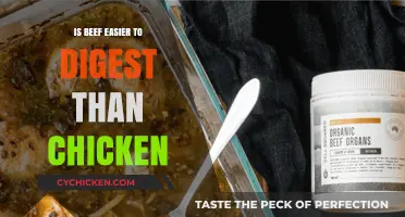Beef vs. Chicken: Which Protein Is Easier on Your Digestive System?