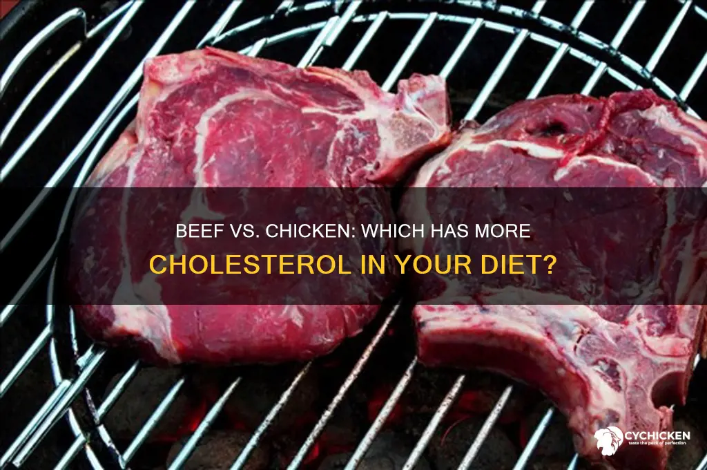 is beef higher in cholesterol than chicken