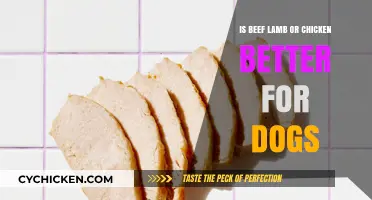 Beef, Lamb, or Chicken: Which Protein is Best for Dogs?