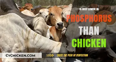 Beef vs. Chicken: Which Has Less Phosphorus for Your Diet?