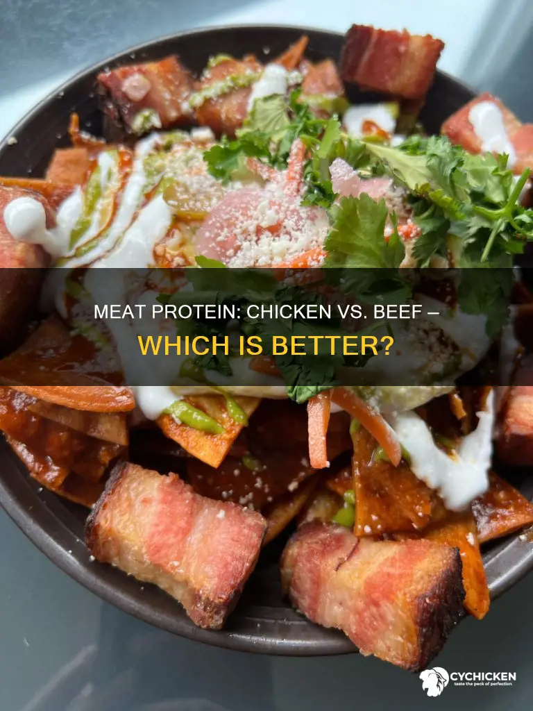 is beef or chicken a better source of protein