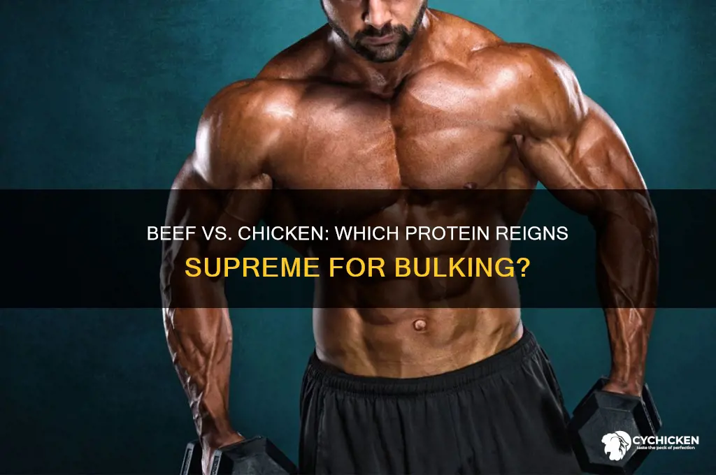 is beef or chicken better for bulking