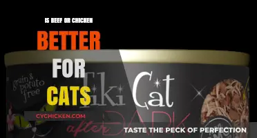 Beef vs. Chicken: Which Protein is Better for Your Cat?