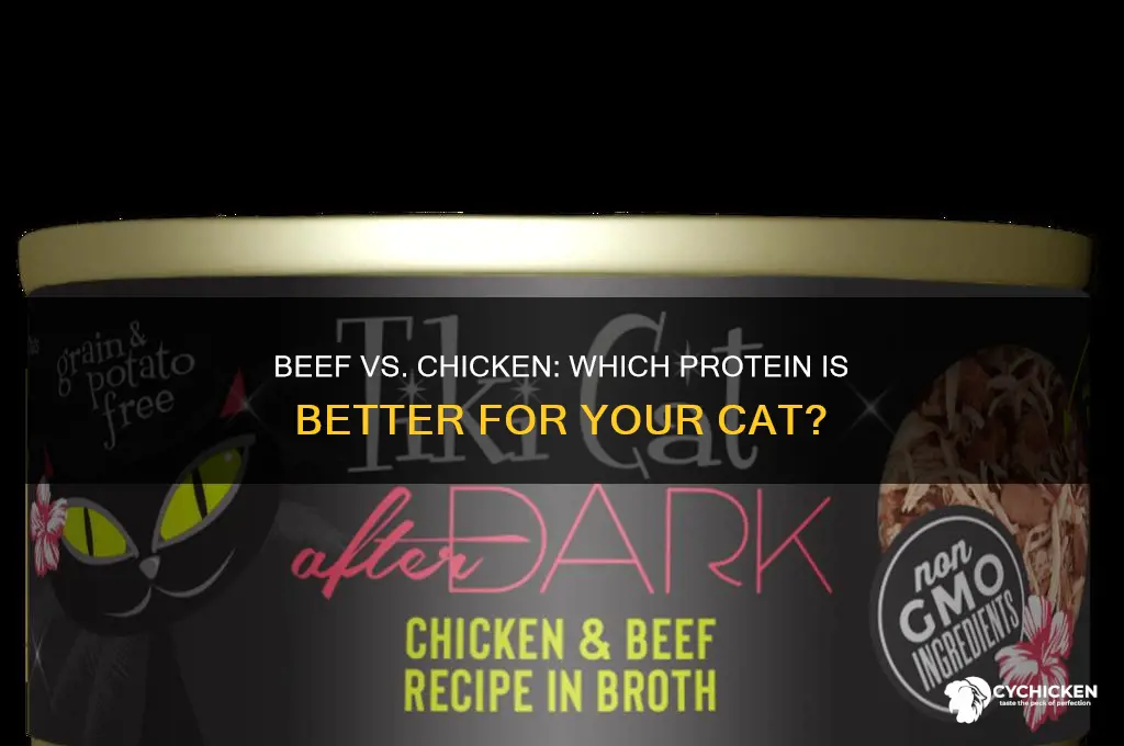 is beef or chicken better for cats