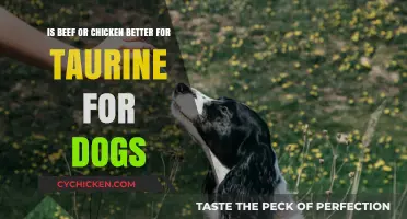 Taurine in Beef vs. Chicken: Which is Better for Dogs?