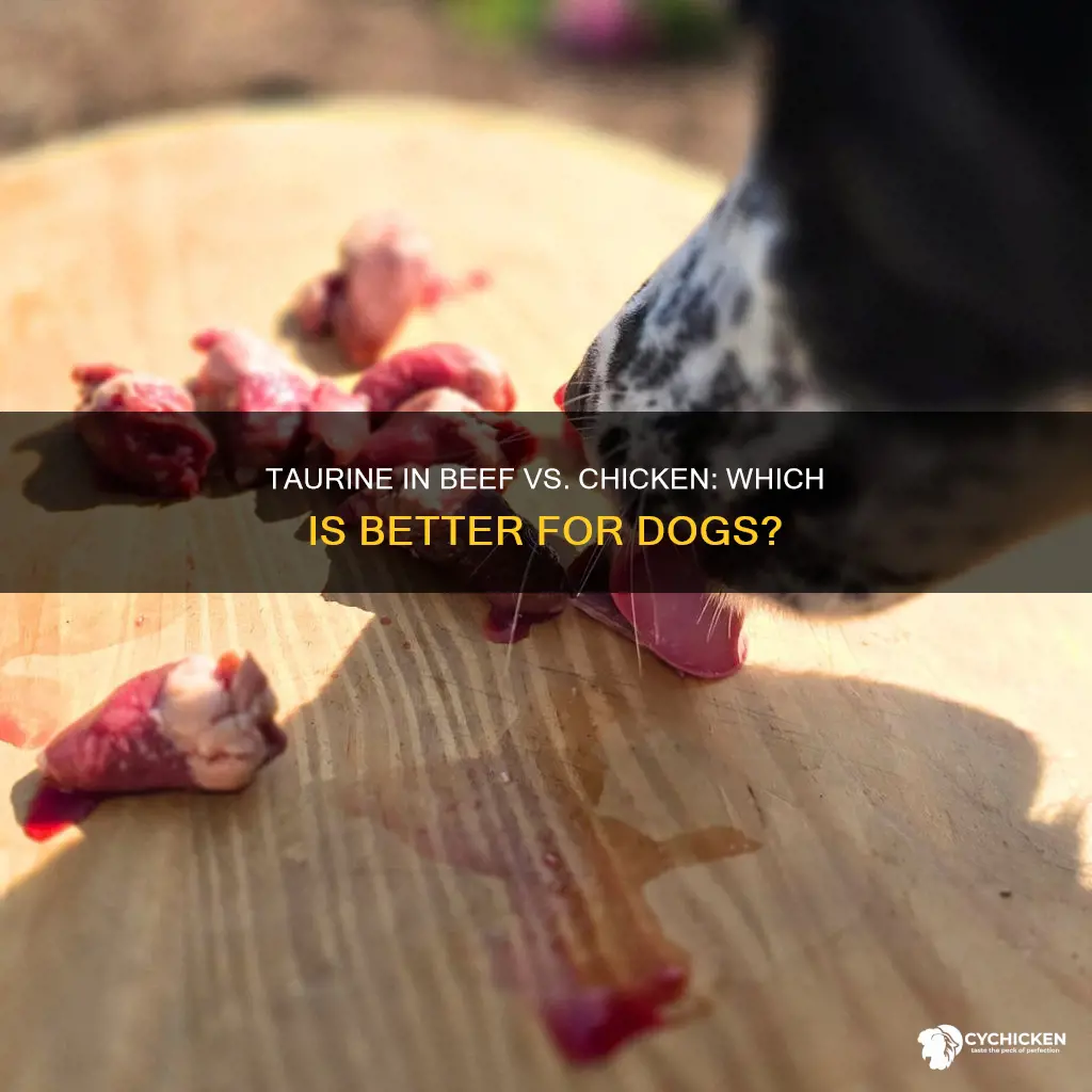 is beef or chicken better for taurine for dogs