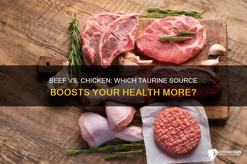 is beef or chicken better for taurine