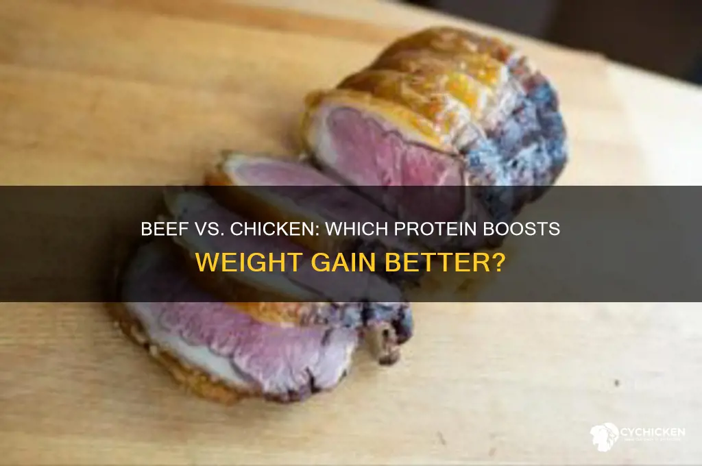 is beef or chicken better for weight gain