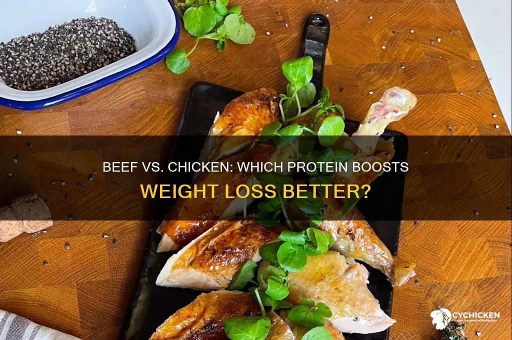 is beef or chicken better for weight loss