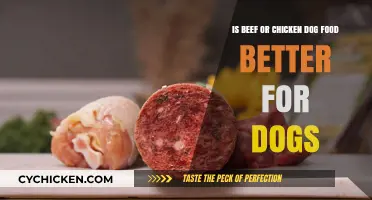 Meat for Dogs: Chicken or Beef?